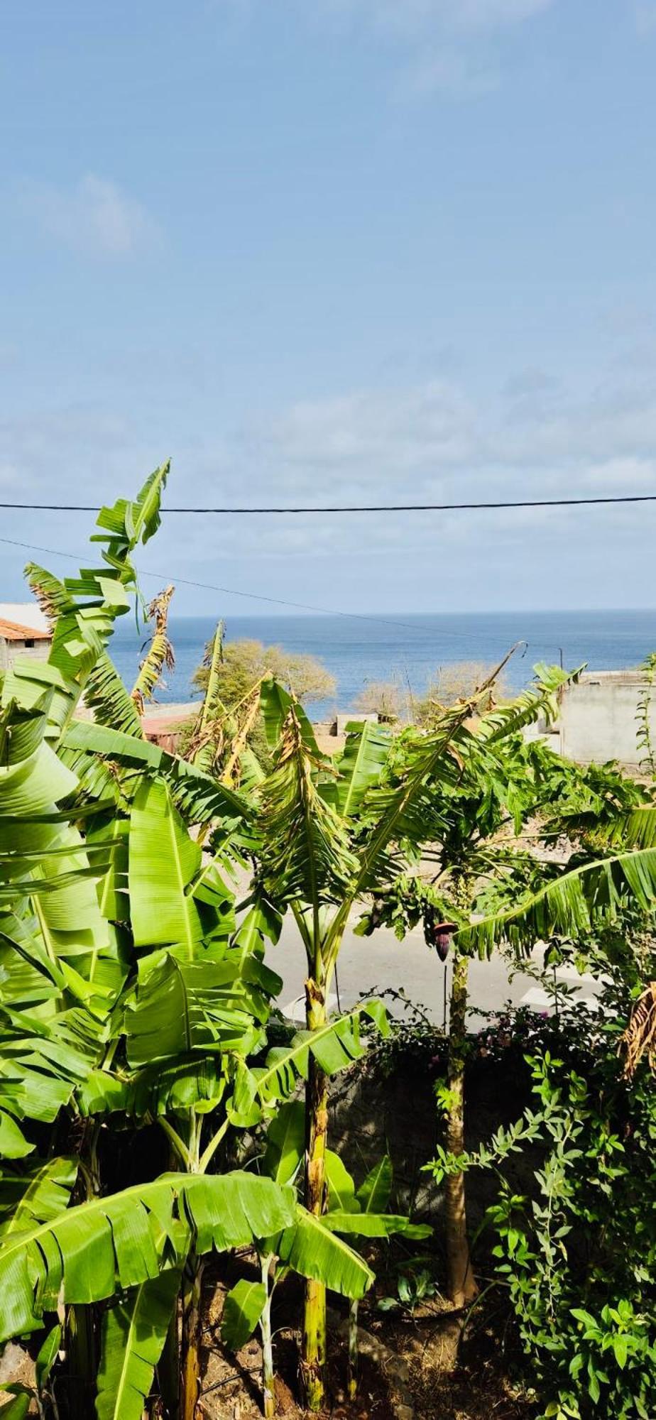 Ribeira da PrataCasa Chiquinha公寓 外观 照片